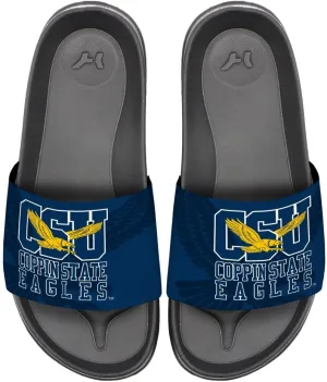 NCAA Unisex Adult Slides College Wordmark Adjustable Flip Flop Sandals Collection